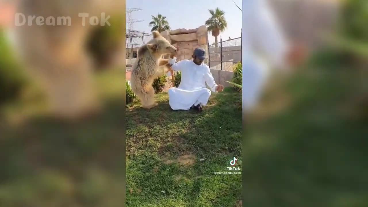 TikTok Dubai Humaid Albuqaish With His Pets Video