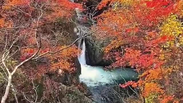 a small bridge over the flowing stream