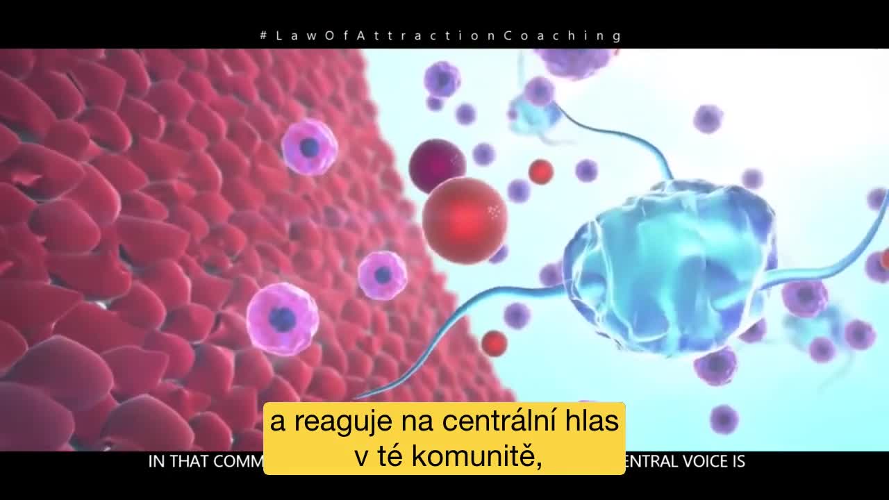 Dr. Bruce Lipton - Co způsobuje nemoc & Vliv mysli na imunitu
