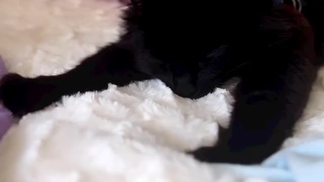 "Just look at her please. 😤👀"