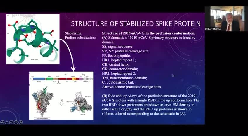 Dr. Robert Malone explains the structural differences between virus and vaccine spike proteins