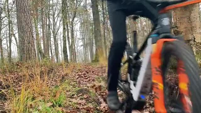 A lil' bit of exercise 🐶