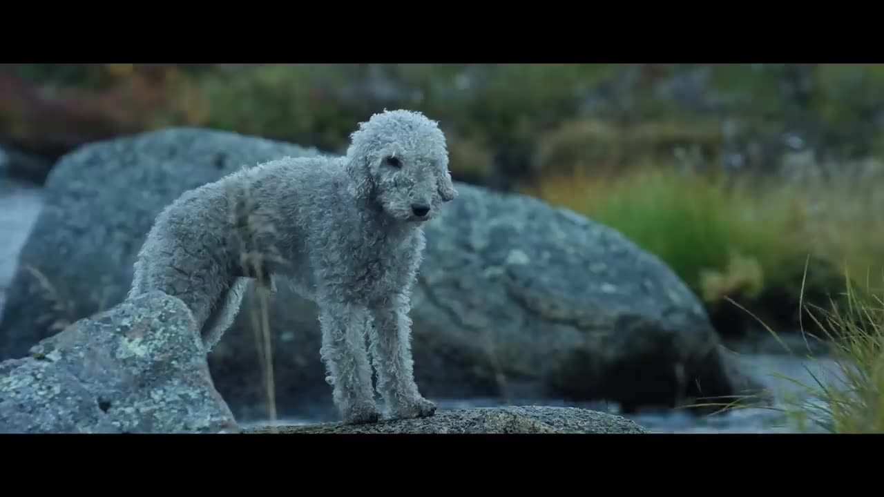Sisu _ Official Trailer _ June 8