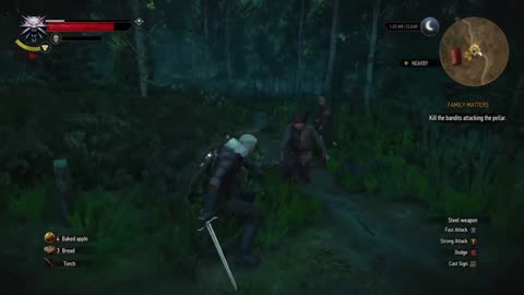 The Witcher 3 Wild Hunt