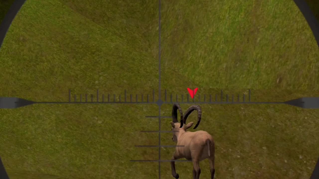 Awesome animal hunting game #hunting