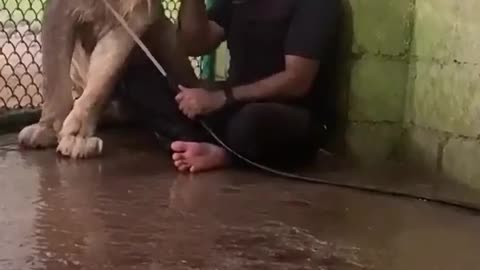 Nature of Dog
