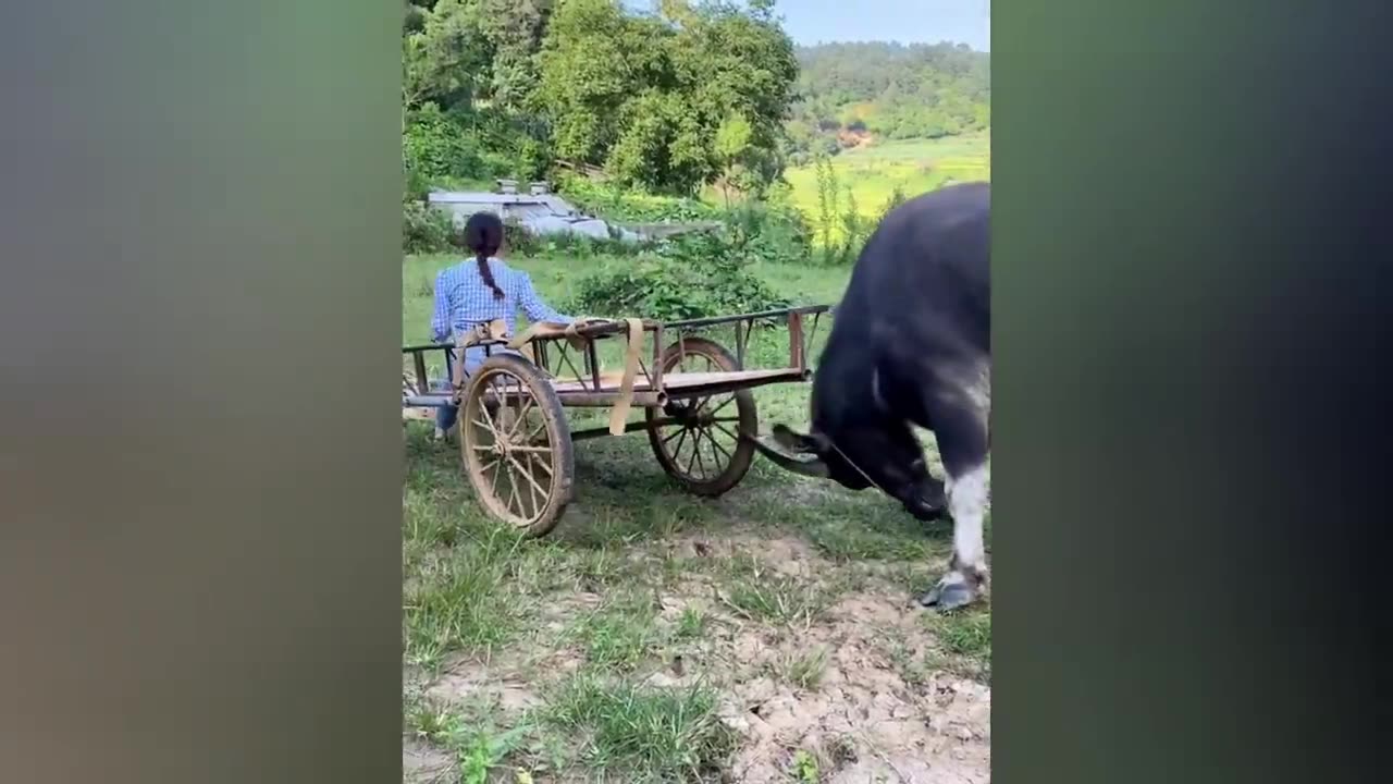 Best Funny Videos Compilation 🤣 / Funny Moments Of The Week #58 Cute