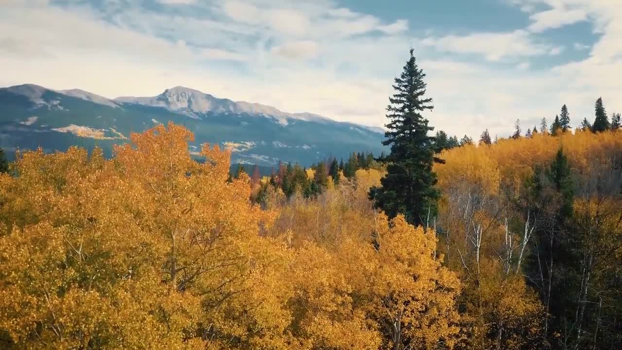 Enchanting Autumn Forests with Beautiful Piano Music