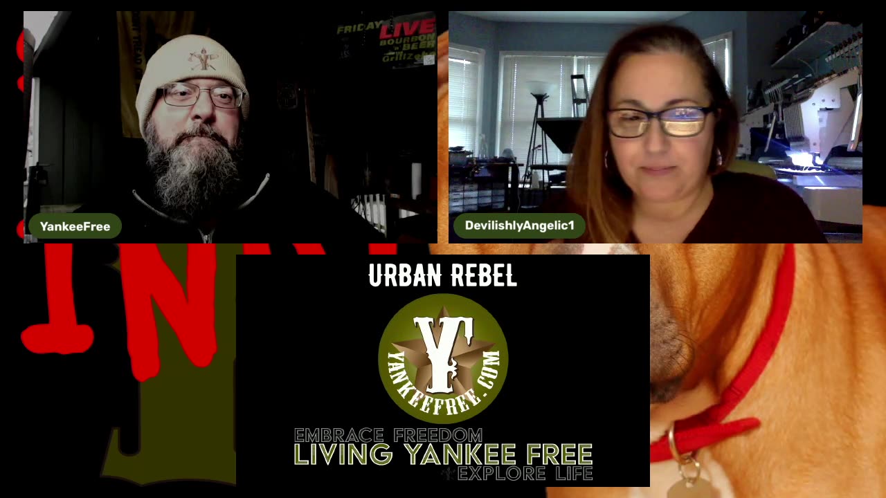 Living Yankee Free is LIVE