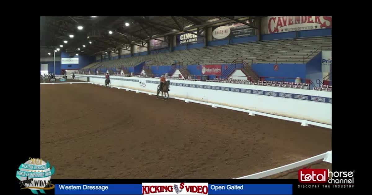 2021 Class 2 WDAA Western Dressage Suitability Walk Jog Lop | Open Gaited