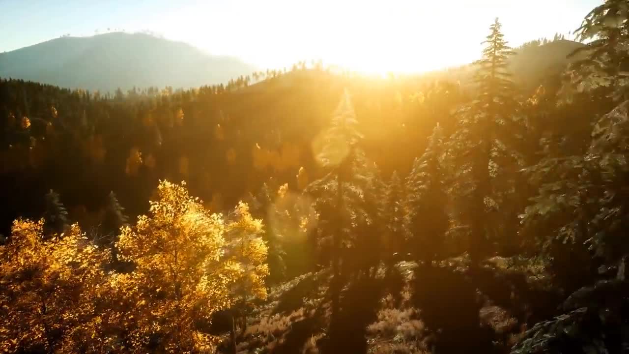 Enchanting Autumn Forests with Beautiful Piano Music