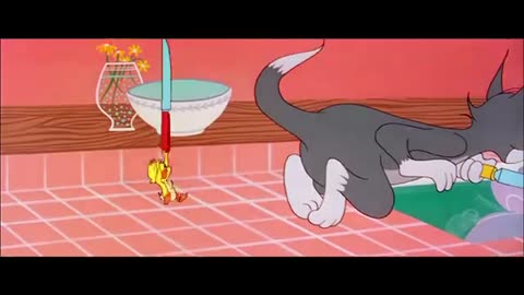 Tom___Jerry___Tom___Jerry_cartoon_Kids(360p)