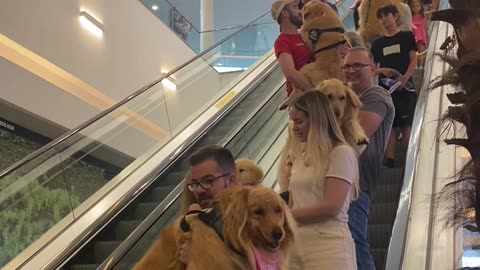 The Cutest Escalator in the World