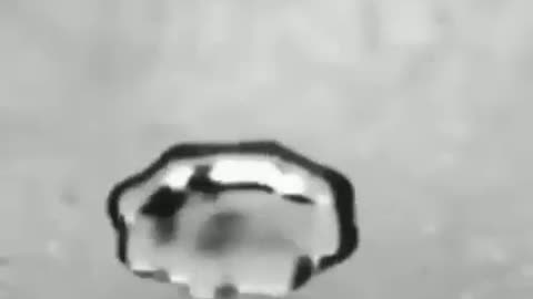 Acoustic levitation of a water droplet