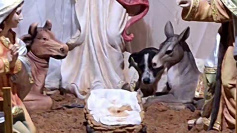 Dog Joins Nativity Scene