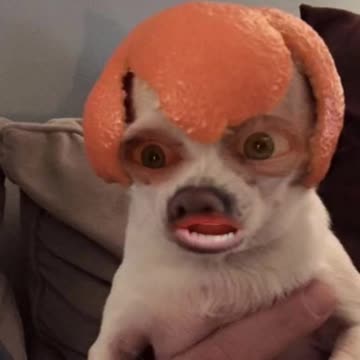 I'm the Master Commander! :)