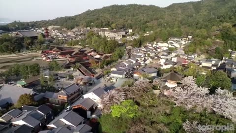 10 Best place To Visit Japan