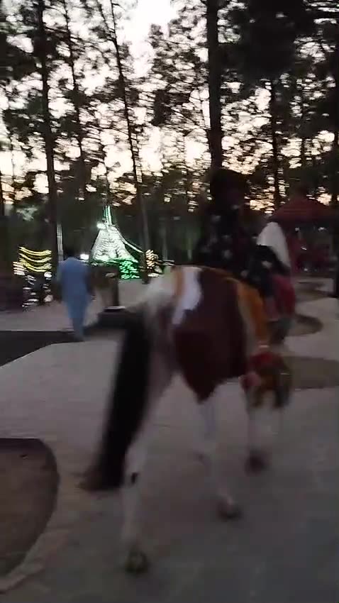 Pakistan Tour 2024-40