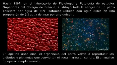 AGUA DE MAR - RENE QUINTON UN SABIO EN EL OLVIDO