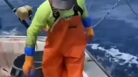 This is a beautiful and charming water-dwelling species