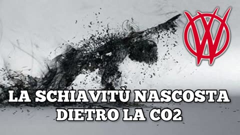 schiavitù del controllo co2