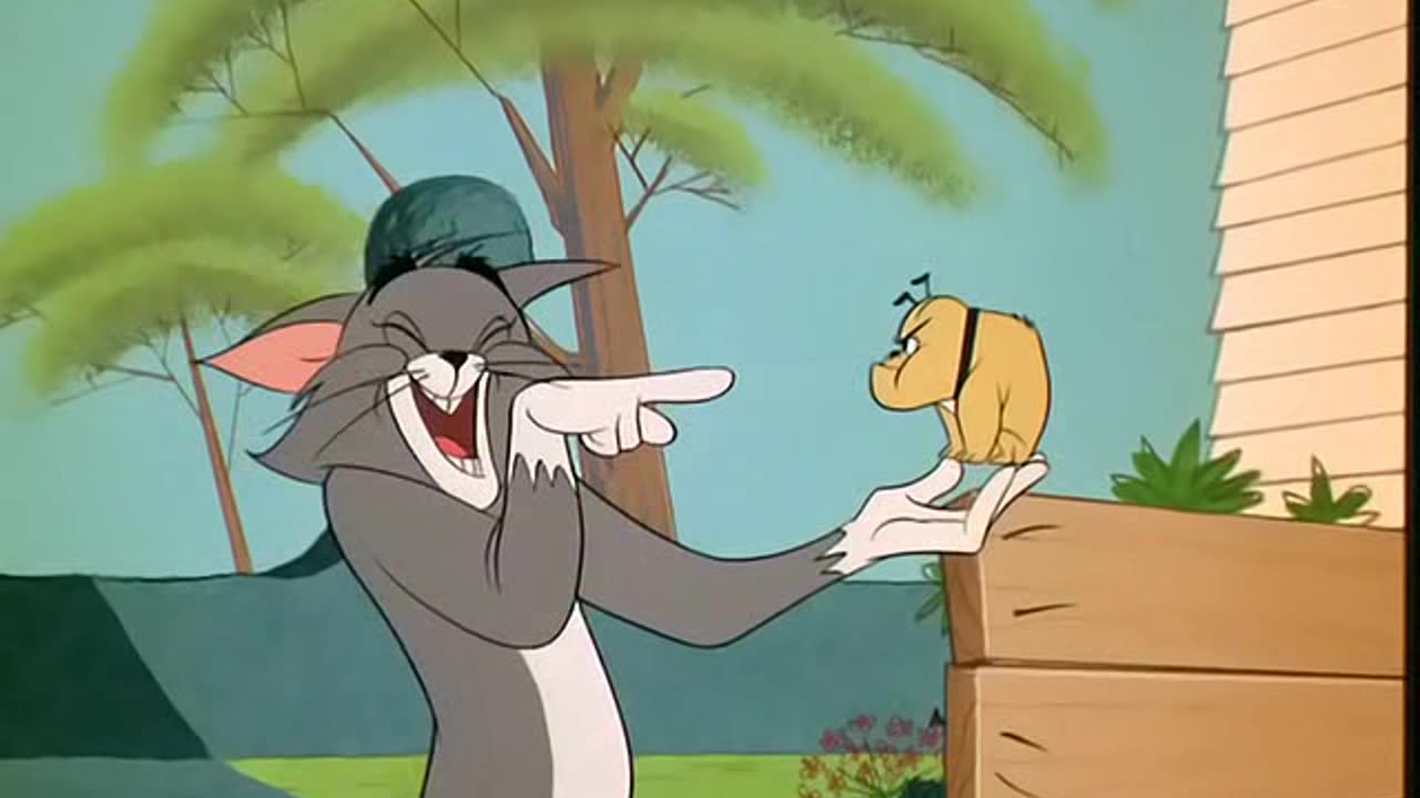 TOM N JERRY 142 The Cat's Me Ouch [1965]