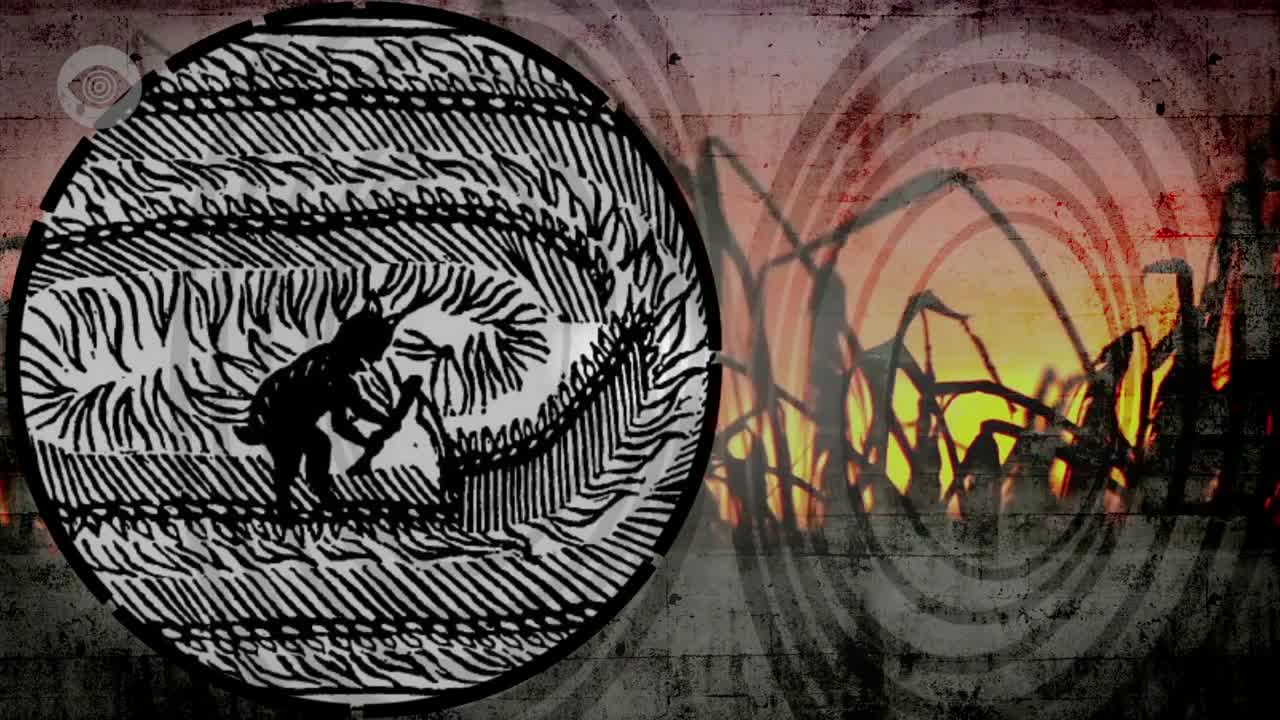 Are Crop Circles A Sign Of Alien Life?