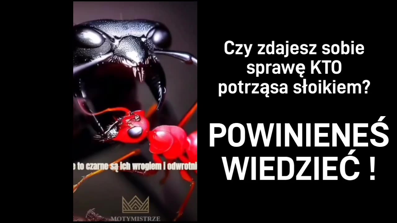 POWINIENEŚ WIEDZIEĆ