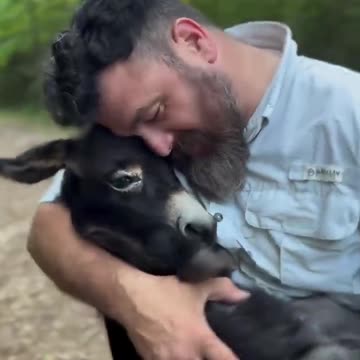 Today is May 8th, World Donkey Day. 😃