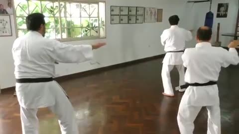 Shorin Ryu Karate
