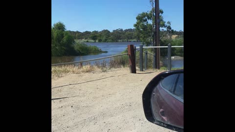 Murray River Flood 2022