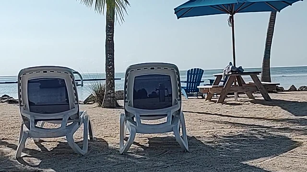 Part 2 in the Florida Keys! Reading a good ole book at the beach.