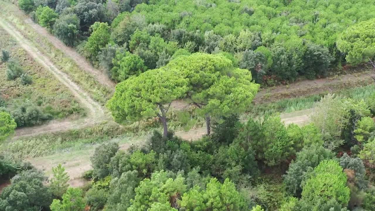 Livorno ❁ Calambrone ❁ Lasiesta ❁ Toskana ❁ ItalienItaly ❁ Nature Scenery 4kDeep Garden
