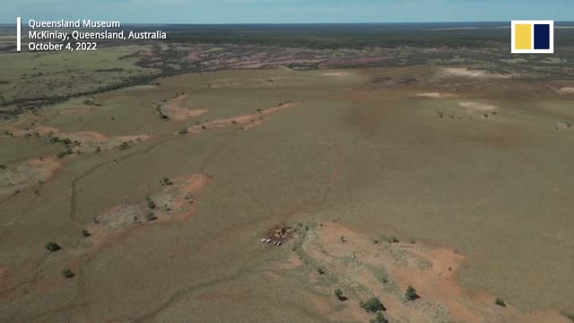 Australian palaeontologists discover rare Plesiosaur fossil from 100 million years ago