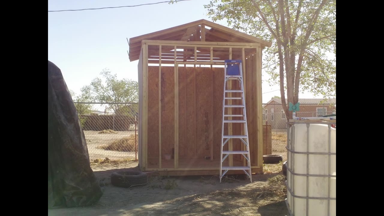 Shed I built