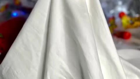 Cute and funny cat video.cute reaction by cat.