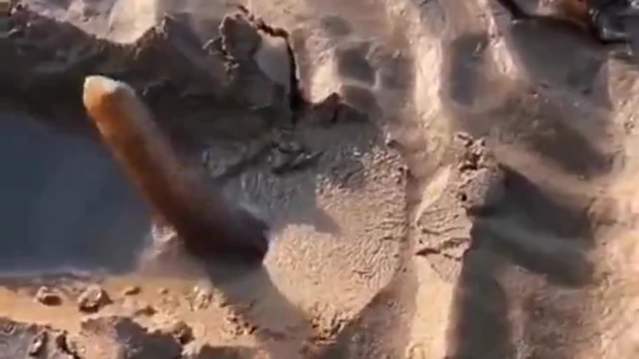 Don't sit naked on the sand