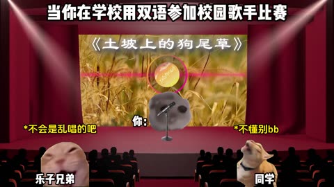 Cartoon cat performance funny