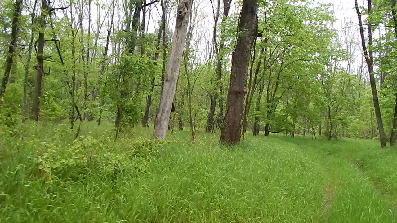 ATV Trail video- April 9, 2015