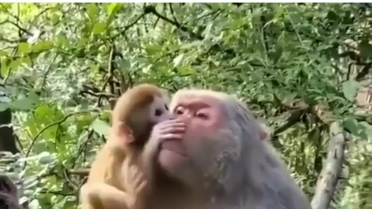 Mother love