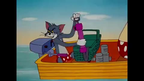 Tom and jerry cartoon