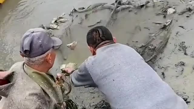 Unique fishing 🐟best fishing asian 🐟