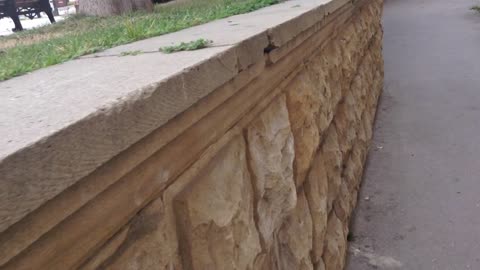 video footage for tracking