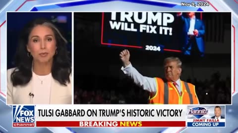 Who is Tulsi Gabbard_ - Trump nominee for Dir. of National Intelligence