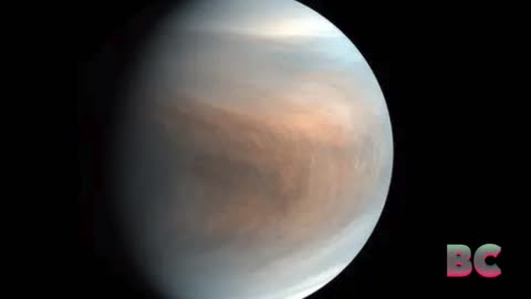 Atmospheric analysis shows Venus never had Earth-like life, scientists say