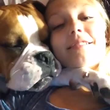 Momentos reconfortantes: ¡Cachorro rescatado adora acurrucarse!