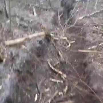 RF soldiers captured AFU stronghold near Ugledar