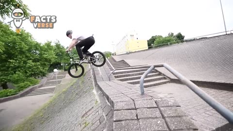 Best Viral Videos (So Far)