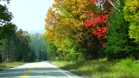 Fall Foliage