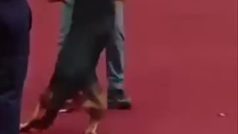 He wouldn't let go